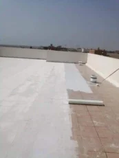 عزل الفوم