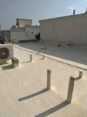 عزل فوم بعنيزة